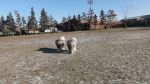 DSC04843.JPG
