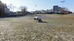DSC04856.JPG