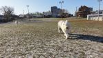 DSC04857.JPG