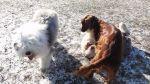 DSC04865.JPG