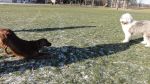DSC04877.JPG