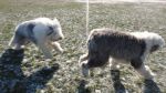 DSC04878.JPG