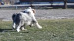 DSC04882.JPG