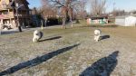 DSC04904.JPG