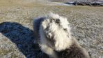 DSC04906.JPG
