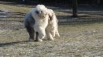 DSC04910.JPG