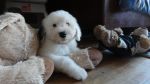 DSC04994~0.JPG