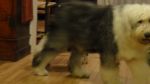 DSC05284.JPG