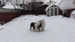 DSC05319.JPG