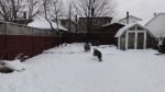 DSC05321.JPG
