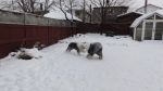 DSC05322.JPG