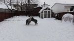 DSC05324.JPG