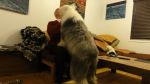DSC05460.JPG