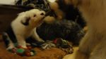 DSC05463.JPG