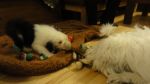 DSC05464.JPG