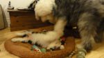 DSC05467.JPG