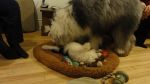 DSC05468.JPG