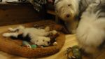 DSC05469.JPG