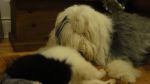 DSC05472.JPG