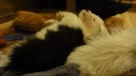 DSC05477.JPG