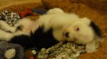 DSC05478.JPG
