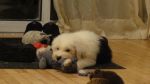 DSC05481.JPG
