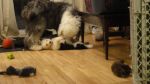 DSC05487.JPG