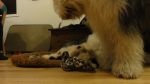 DSC05502.JPG