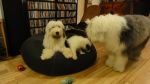 DSC05507.JPG