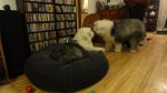 DSC05509.JPG