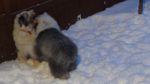 DSC05598.JPG