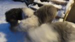 DSC05607.JPG