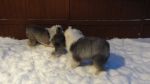 DSC05609.JPG
