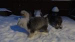 DSC05613.JPG