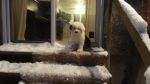 DSC05616.JPG