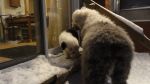 DSC05617.JPG
