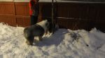 DSC05624.JPG