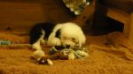 DSC05641.JPG