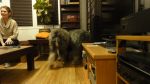DSC05642.JPG