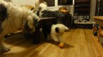 DSC05645.JPG