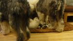 DSC05651.JPG