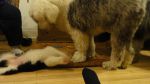 DSC05654.JPG