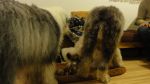 DSC05657.JPG