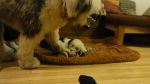 DSC05659.JPG