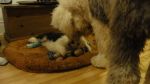 DSC05660.JPG