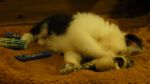 DSC05662.JPG