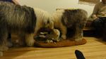 DSC05663.JPG