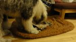 DSC05671.JPG