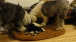 DSC05672.JPG