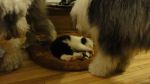 DSC05674.JPG